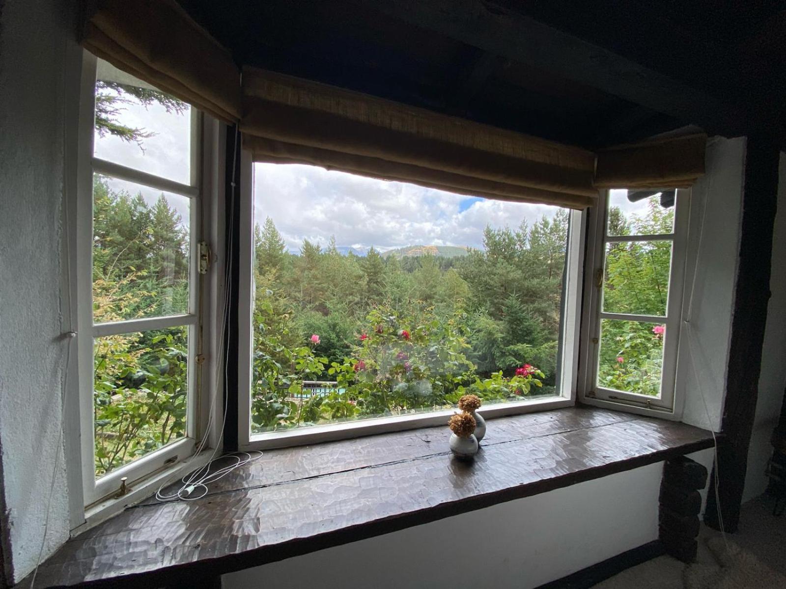 The Patagonian Lodge Coyhaique Buitenkant foto