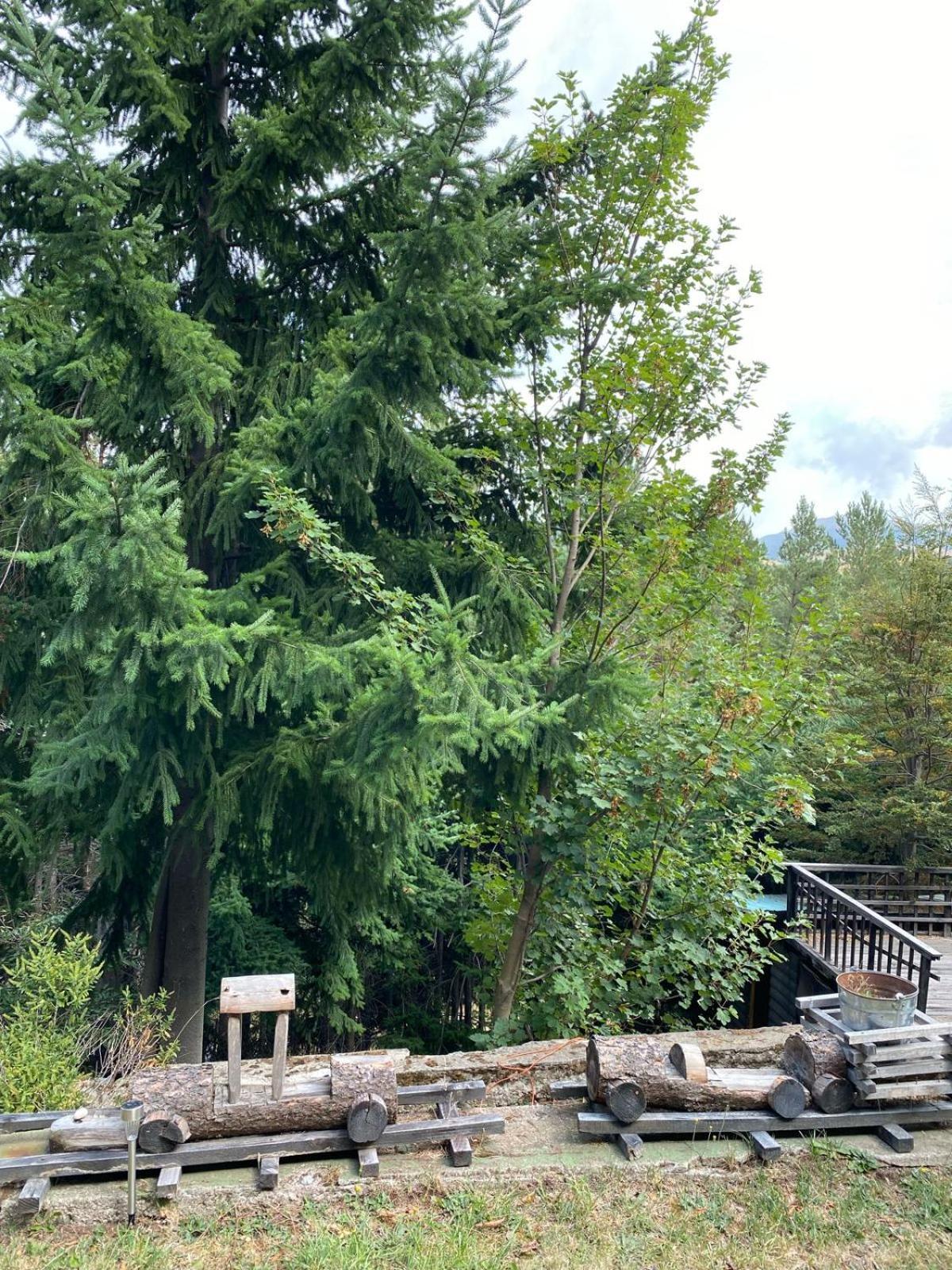 The Patagonian Lodge Coyhaique Buitenkant foto