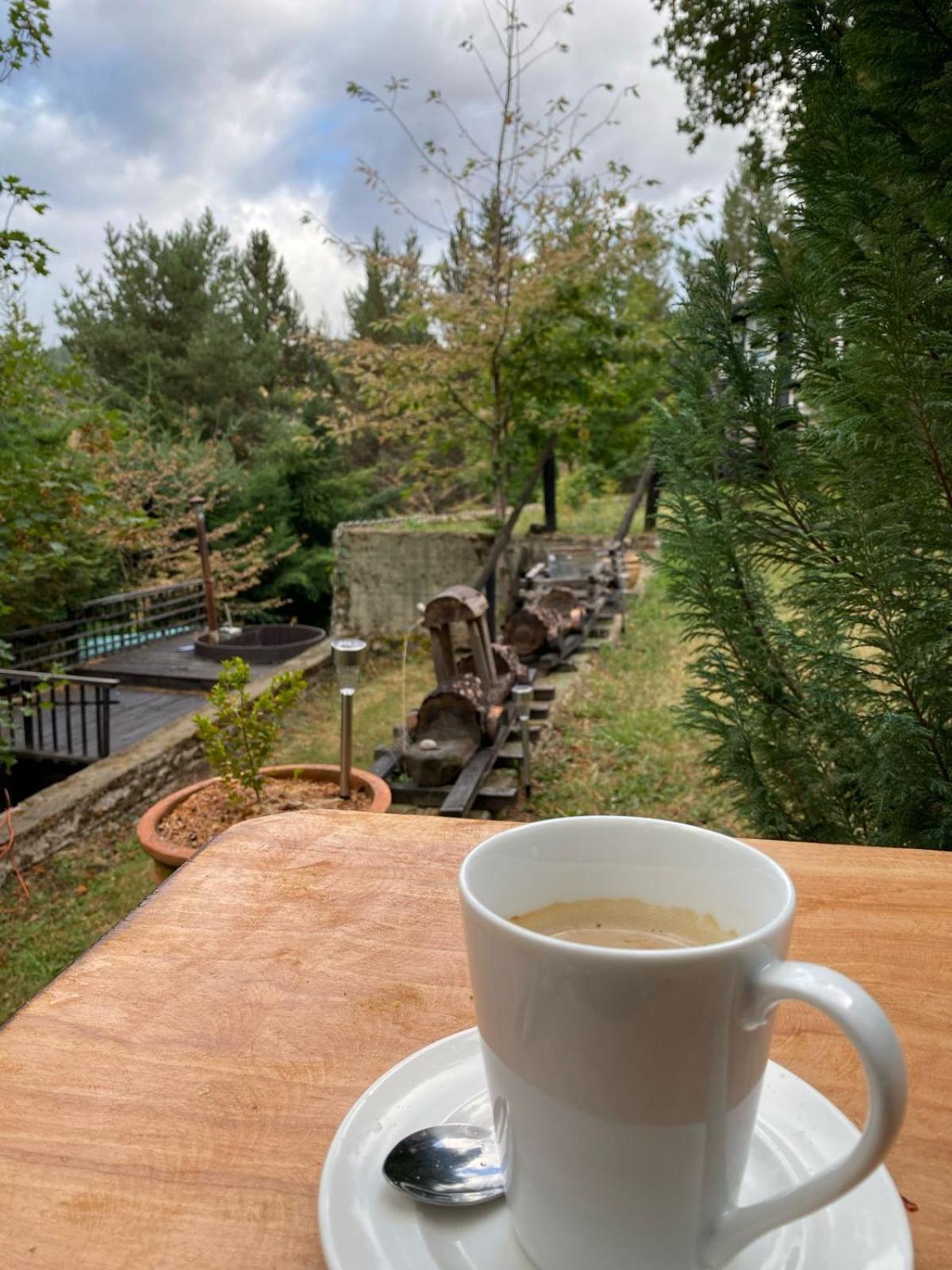 The Patagonian Lodge Coyhaique Buitenkant foto