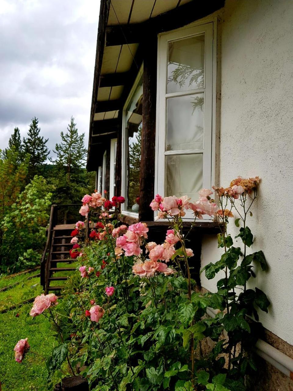 The Patagonian Lodge Coyhaique Buitenkant foto